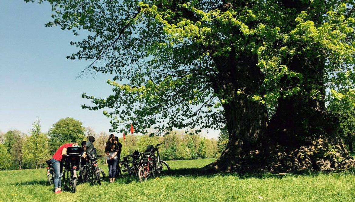 E-Bike-Tour durch den Englischen Garten