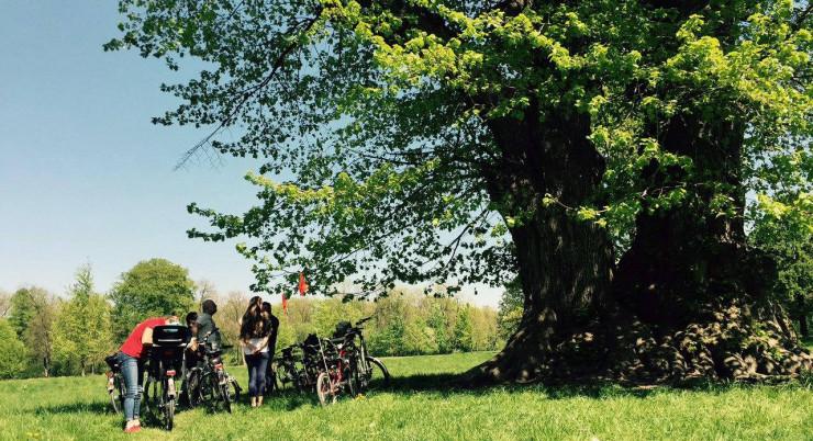 E-Bike-Tour durch den Englischen Garten